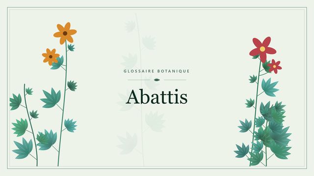 Abattis : l'essentiel Illustration botanique stylisée du terme « Abattis » du glossaire