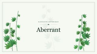 Illustration botanique stylisée du terme « Aberrant » du glossaire
