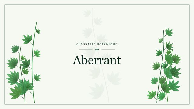 Aberrant : définition en botanique Illustration botanique stylisée du terme « Aberrant » du glossaire
