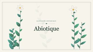 Illustration botanique stylisée du terme « Abiotique » du glossaire