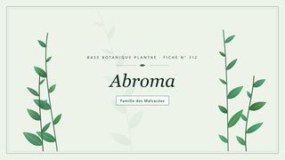 Planche botanique stylisée d’Abroma, famille des Malvacées