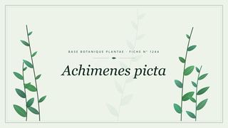 Planche botanique stylisée d’Achimenes picta