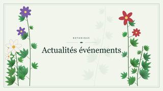 Visuel botanique stylisé : Actualités événements