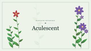 Illustration botanique stylisée du terme « Aculescent » du glossaire