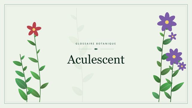 Définition de « acaulescent » en botanique Illustration botanique stylisée du terme « Aculescent » du glossaire