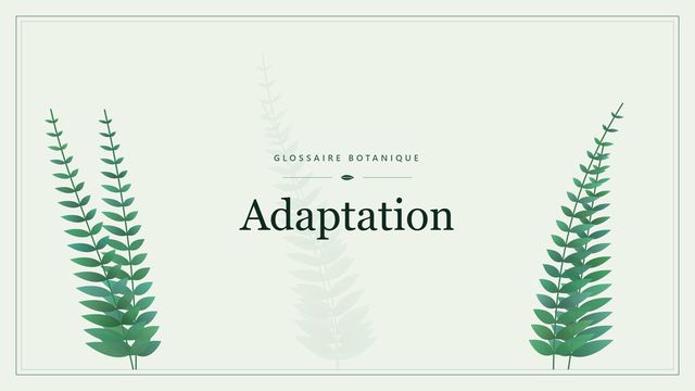 Définition de « adaptation » en botanique Illustration botanique stylisée du terme « Adaptation » du glossaire