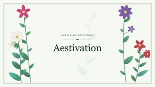 Illustration botanique stylisée du terme « Aestivation » du glossaire