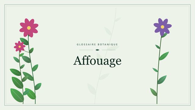 Affouage : points clés Illustration botanique stylisée du terme « Affouage » du glossaire