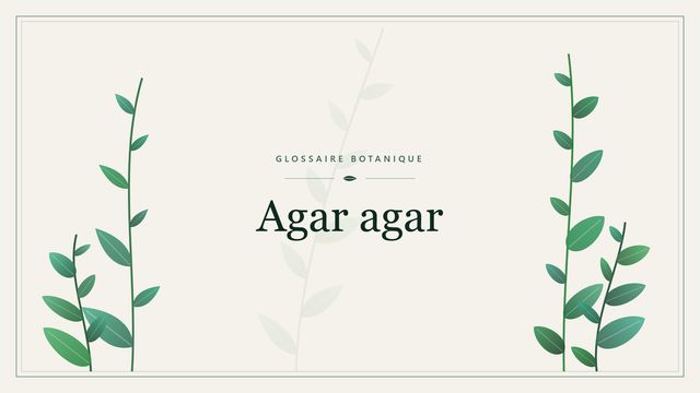 Définition de « agar-agar » en botanique Illustration botanique stylisée du terme « Agar agar » du glossaire