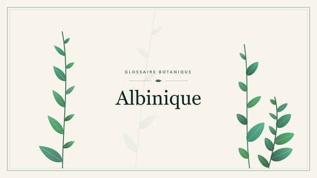 Albinique : conseils et analyse Illustration botanique stylisée du terme « Albinique » du glossaire
