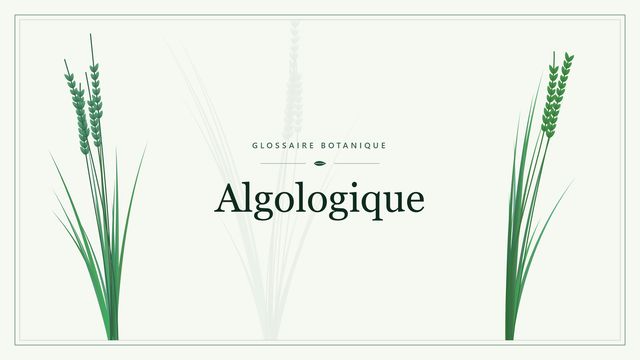 Comprendre algologique en botanique et horticulture Illustration botanique stylisée du terme « Algologique » du glossaire