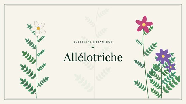 Allélotriche : panorama Illustration botanique stylisée du terme « Allélotriche » du glossaire