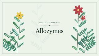 Illustration botanique stylisée du terme « Allozymes » du glossaire