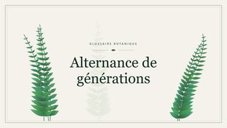 Illustration botanique stylisée du terme « Alternance de générations » du glossaire