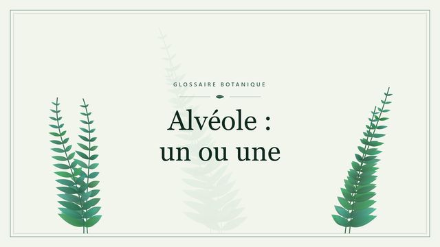 Alvéole, un ou une : définition et emplois en botanique Illustration botanique stylisée du terme « Alvéole : un ou une » du glossaire