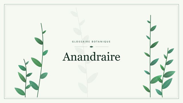 Anandraire : repères utiles Illustration botanique stylisée du terme « Anandraire » du glossaire