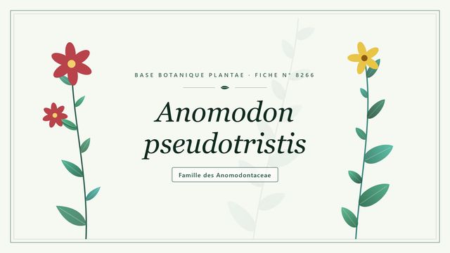 Anomodon pseudotristis : mousse épiphyte des forêts anciennes Planche botanique stylisée d’Anomodon pseudotristis, famille des Anomodontaceae