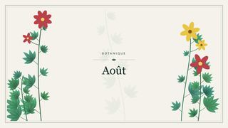 Visuel botanique stylisé : Août