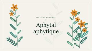 Illustration botanique stylisée du terme « Aphytal aphytique » du glossaire