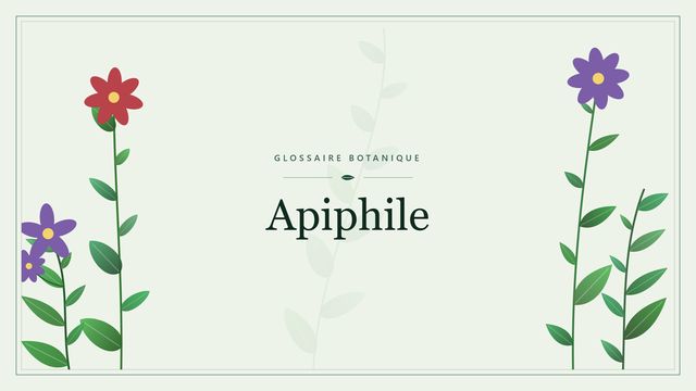 Apiphile : l'essentiel Illustration botanique stylisée du terme « Apiphile » du glossaire