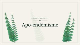 Illustration botanique stylisée du terme « Apo-endémisme » du glossaire