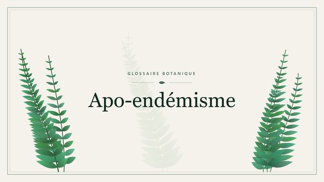 Apo endémisme : conseils et analyse Illustration botanique stylisée du terme « Apo-endémisme » du glossaire
