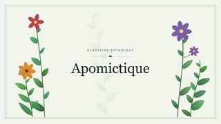 Illustration botanique stylisée du terme « Apomictique » du glossaire