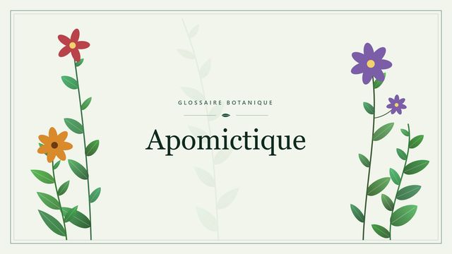 Apomictique : l'essentiel Illustration botanique stylisée du terme « Apomictique » du glossaire