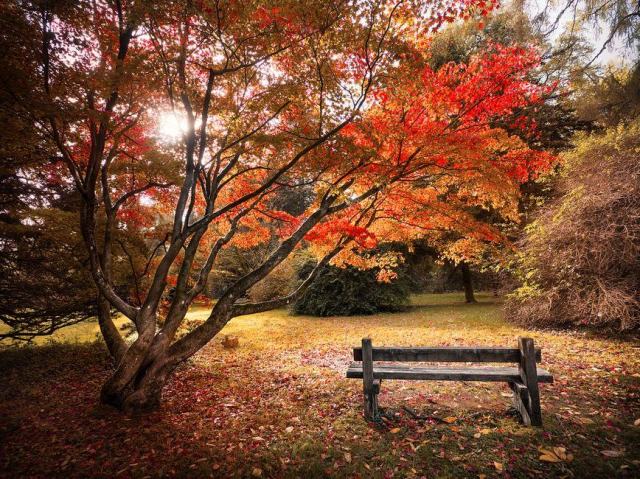 Ce que conserve un arboretum, ce que conserve un jardin botanique Ce que conserve un arboretum, ce que conserve un jardin botanique