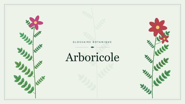 Définition de « arboricole » en botanique Illustration botanique stylisée du terme « Arboricole » du glossaire