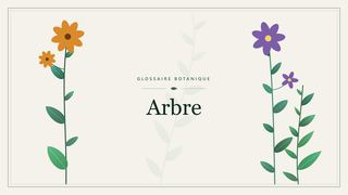 Illustration botanique stylisée du terme « Arbre » du glossaire