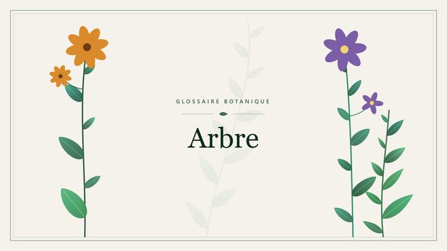 Définition de « arbre » en botanique Illustration botanique stylisée du terme « Arbre » du glossaire