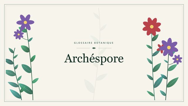 Archéspore : guide complet Illustration botanique stylisée du terme « Archéspore » du glossaire
