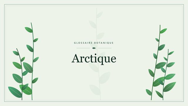 Arctique : l'essentiel Illustration botanique stylisée du terme « Arctique » du glossaire