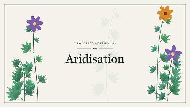 Définition de « aridisation » en botanique Illustration botanique stylisée du terme « Aridisation » du glossaire
