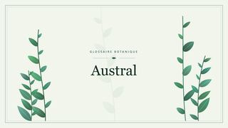 Illustration botanique stylisée du terme « Austral » du glossaire