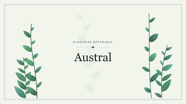 Austral : notre analyse Illustration botanique stylisée du terme « Austral » du glossaire