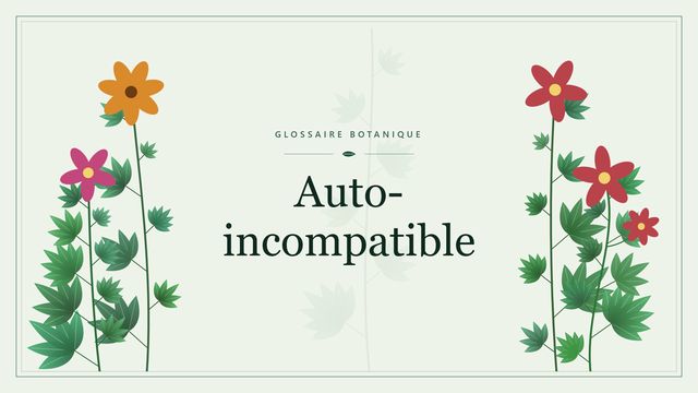 Auto incompatible : les bases Illustration botanique stylisée du terme « Auto-incompatible » du glossaire