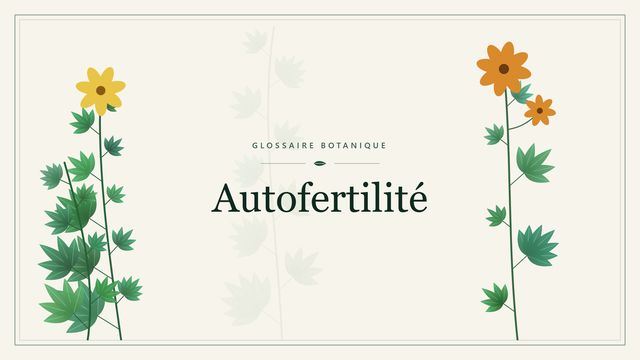Autofertilité : notre analyse Illustration botanique stylisée du terme « Autofertilité » du glossaire