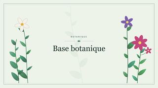 Visuel botanique stylisé : Base botanique