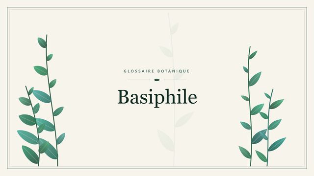 Basiphile : repères utiles Illustration botanique stylisée du terme « Basiphile » du glossaire