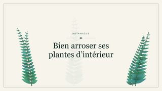 Visuel botanique stylisé : Bien arroser ses plantes d’intérieur