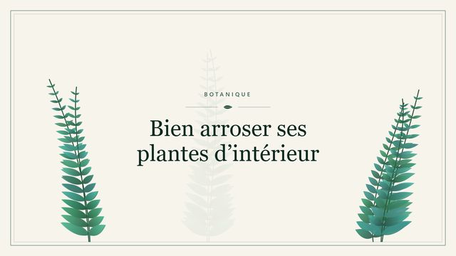 Bien arroser ses plantes d'intérieur : qualité de l'eau et astuces Visuel botanique stylisé : Bien arroser ses plantes d’intérieur