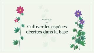 Visuel botanique stylisé : Cultiver les espèces décrites dans la base