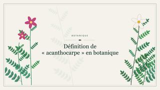 Visuel botanique stylisé : Définition de « acanthocarpe » en botanique