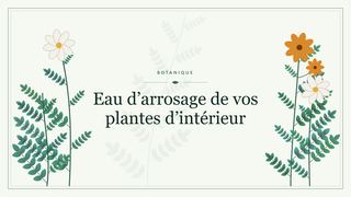 Visuel botanique stylisé : Eau d’arrosage de vos plantes d’intérieur