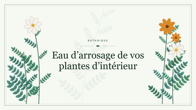 Eau d arrosage de vos plantes d intérieur Visuel botanique stylisé : Eau d’arrosage de vos plantes d’intérieur