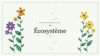 Illustration botanique stylisée du terme « Écosystème » du glossaire