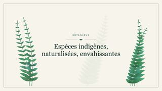 Visuel botanique stylisé : Espèces indigènes, naturalisées, envahissantes