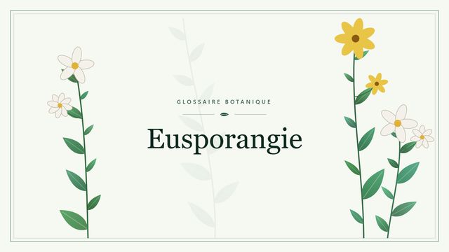 Eusporangie : conseils et analyse Illustration botanique stylisée du terme « Eusporangie » du glossaire